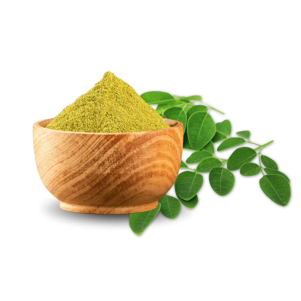 Moringa Powder